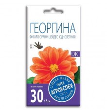 Георгина Фигаро Оранж Шейдес, семена Агроуспех 7шт (400) арт. 47500 (10/уп)