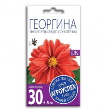 Георгина Фигаро Ред Шейдес, семена Агроуспех 7шт (400) арт. 47499 (10/уп)