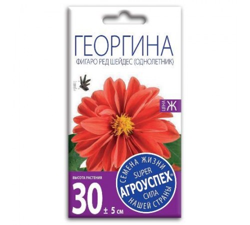 Георгина Фигаро Ред Шейдес, семена Агроуспех 7шт (400) арт. 47499 (10/уп)