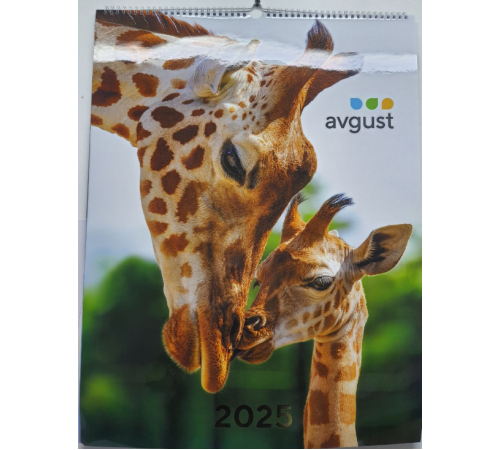 Календарь Август