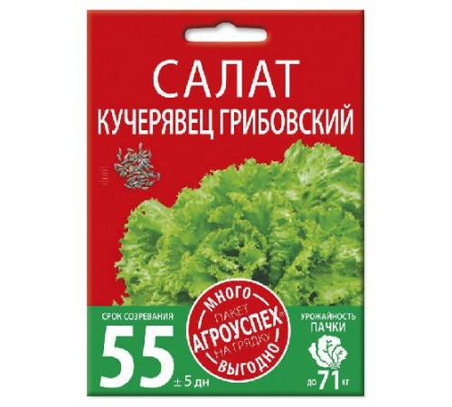 Салат полукочанный Кучерявец Грибовский, семена Агроуспех Много-Выгодно 3г арт. 130967 (5шт/уп)