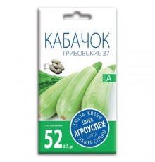 Кабачок Грибовский 37, семена Агроуспех 3г арт. 17601 (10/уп)