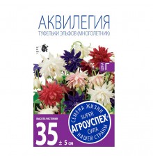 Аквилегия Туфельки Эльфов,семена Агроуспех 0,1г арт. 29718 (10/уп)