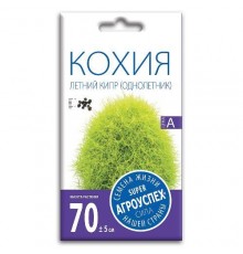 Кохия Летний кипр, семена Агроуспех 0,3г арт. 28199 (10/уп)