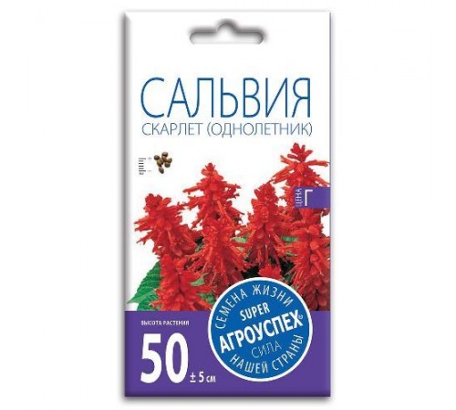 Сальвия Скарлет, семена Агроуспех 0,1г арт. 27247 (10/уп)