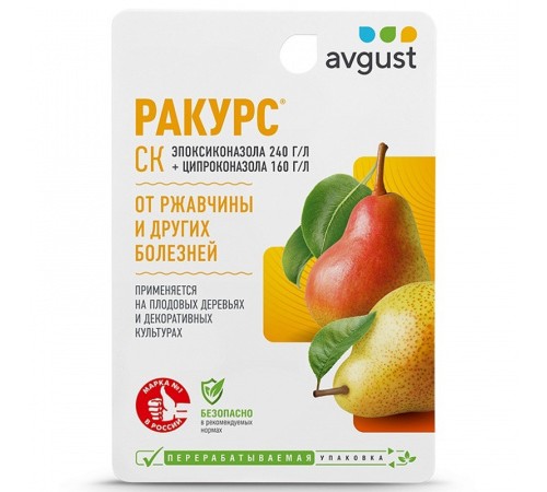 Ракурс 10мл N80