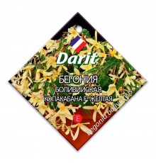 Бегония боливийская Копакабана F1 желтая, семена Дарит 7шт (100) арт. 110006 (10/уп)