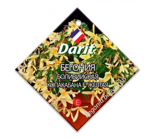 Бегония боливийская Копакабана F1 желтая, семена Дарит 7шт (100) арт. 110006 (10/уп)
