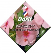 Катарантус Саншторм Априкот Хало, семена Дарит 10шт (500) арт. 5688 (10/уп)