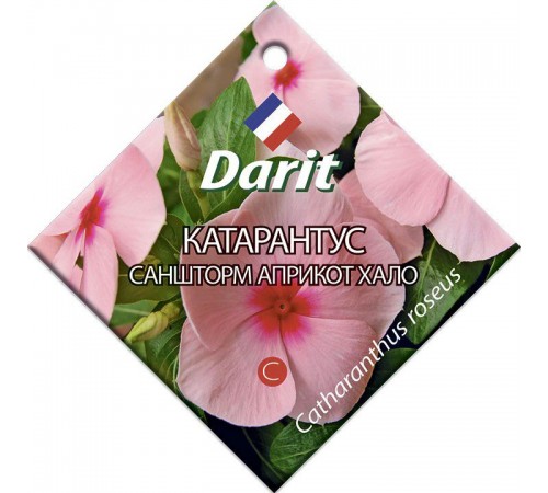 Катарантус Саншторм Априкот Хало, семена Дарит 10шт (500) арт. 5688 (10/уп)