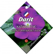 Катарантус Саншторм Виолет Хало, семена Дарит 10шт (500) арт. 5689 (10/уп)
