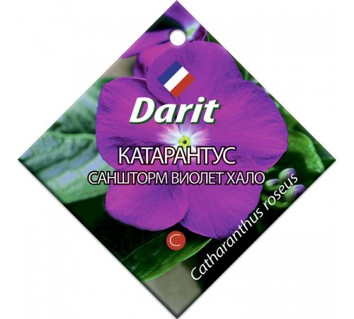 Катарантус Саншторм Виолет Хало, семена Дарит 10шт (500) арт. 5689 (10/уп)