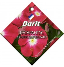Катарантус Саншторм Ред Хало, семена Дарит 10шт арт. 5691 (10/уп)