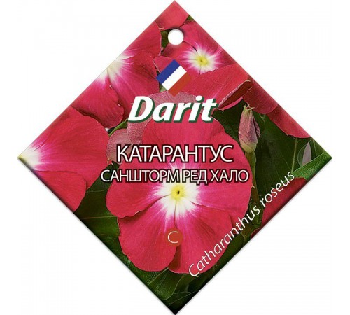 Катарантус Саншторм Ред Хало, семена Дарит 10шт арт. 5691 (10/уп)