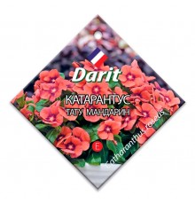 Катарантус Тату Мандарин, семена Дарит 7шт (500) арт. 91318 (10/уп)