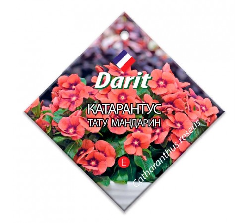 Катарантус Тату Мандарин, семена Дарит 7шт (500) арт. 91318 (10/уп)