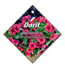 Катарантус Тату Черная вишня, семена Дарит 7шт (500) арт. 91315 (10/уп)