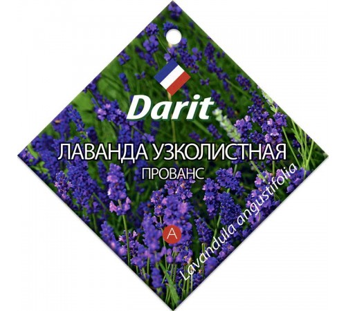 Лаванда узколистная Прованс, семена Дарит 0,1г (400) арт. 84373 (10/уп)