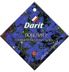 Лобелия Ривьера Миднайт Блю, семена Дарит 10шт (100) арт. 5693 (10/уп)