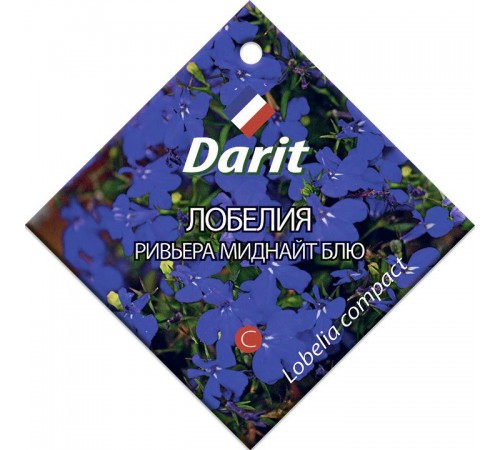 Лобелия Ривьера Миднайт Блю, семена Дарит 10шт (100) арт. 5693 (10/уп)
