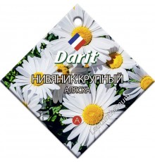 Ромашка (нивяник) Аляска, семена Дарит 0,3г (300) арт. 5696 (10/уп)