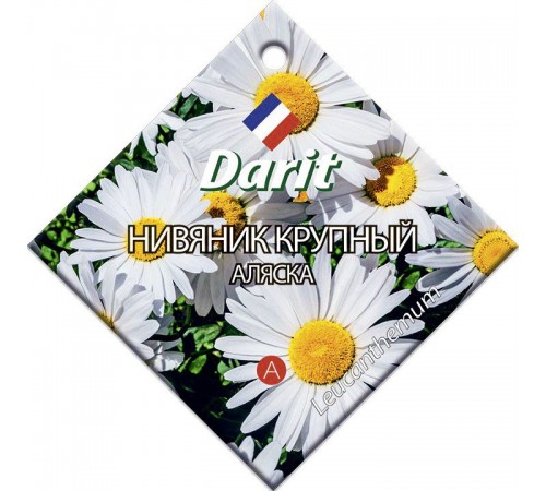 Ромашка (нивяник) Аляска, семена Дарит 0,3г (300) арт. 5696 (10/уп)