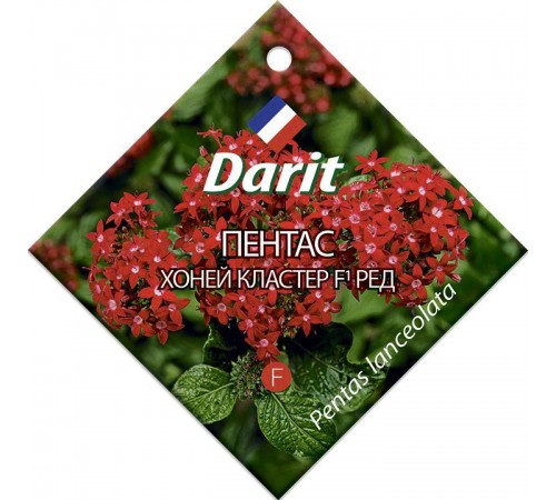 Пентас Хоней Кластер Ред F1, семена Дарит 5шт (100) арт. 5701 (10/уп)