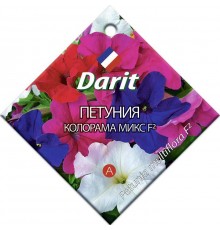 Петуния Колорама микс F2, семена Дарит 0,1г (300) арт. 5654 (10/уп)