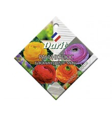 Ранункулюс Блюмингдейл микс F1, семена Дарит 5шт (100) арт. 5713 (10/уп)