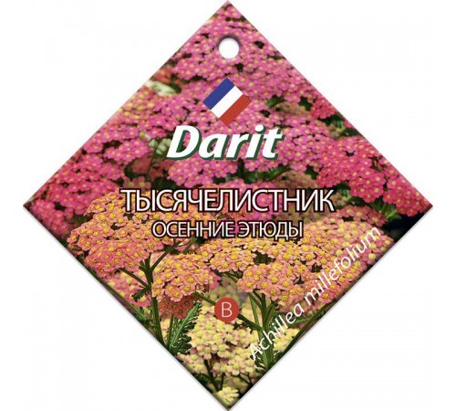 Тысячелистник Осенние этюды, семена Дарит 0,1г (300) арт. 5659 (10/уп)