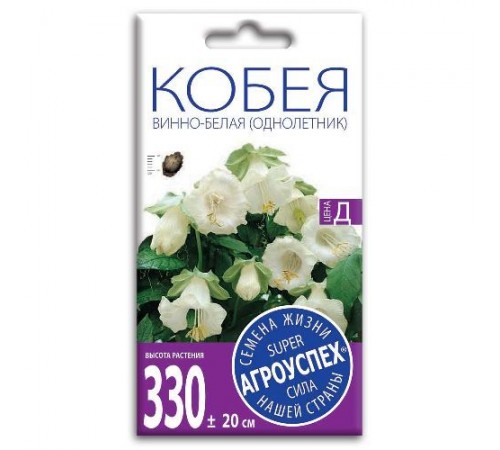 Кобея Винно-белая, семена Агроуспех 4шт (300) арт. 34391 (10/уп)