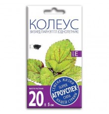 Колеус Визард Пайнэппл, семена Агроуспех 10шт (500) арт. 51740 (10/уп)