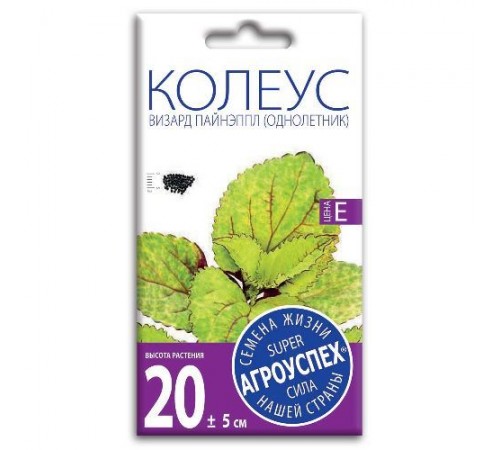 Колеус Визард Пайнэппл, семена Агроуспех 10шт (500) арт. 51740 (10/уп)