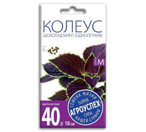 Колеус Шоколад Минт, семена Агроуспех 5шт (100) арт. 51738 (10/уп)