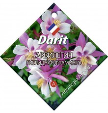 Аквилегия гибридная Фламинго, семена Дарит 0,1г (400) арт. 5664 (10/уп)