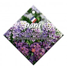 Алиссум Ежевичные меренги, семена Дарит 0,2г (350) арт. 5626 (10/уп)
